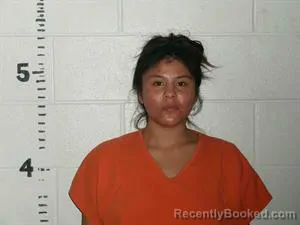 Mugshot of JOSELIN CONTRERAS