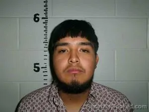 Mugshot of YAIR MOLINA