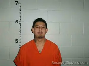 Mugshot of JAMIE ARELLANO