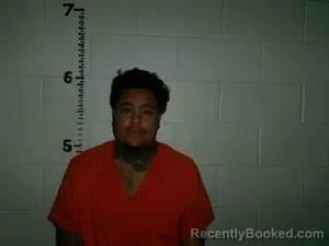 Mugshot of SHAWN SMITH JR