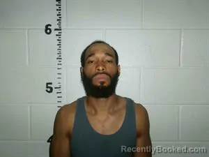 Mugshot of CHYENNE GALLARDO