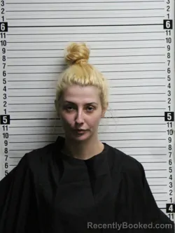 Mugshot of LIA BRIANNE ARNOLD booked in Brunswick County, North Carolina on July 1, 2026