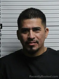Mugshot of LUSVIN LEONEL CASTRO ALEMAN
