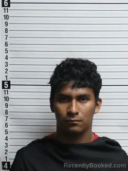 Mugshot of Maynor Ariel Alonso-Perez