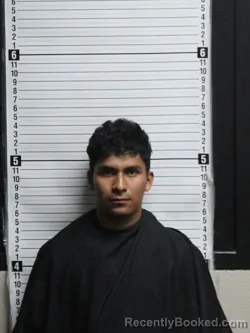 Mugshot of MINOR AVIEL ALONSO-PEREZ