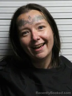 Mugshot of MICKIE LYNN AYCOCK booked in Brunswick County, North Carolina on May 30, 2026