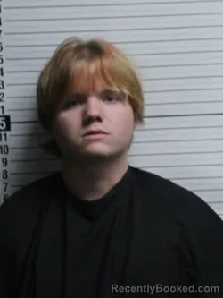 Mugshot of RAY ALAN AGEE