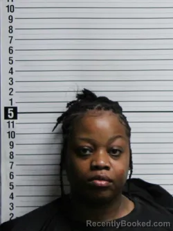 Mugshot of SHENITA MARIE ANDERSON booked in Brunswick County, North Carolina on June 7, 2026