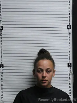 Mugshot of VICTORIA RENEE ALLEN