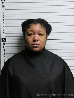 Mugshot of ASIA ARNIZE-DERQUOY BOYD booked in Brunswick County, North Carolina on June 25, 2026