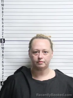 Mugshot of BRIDGETT ANNE BRILES booked in Brunswick County, North Carolina on April 17, 2026
