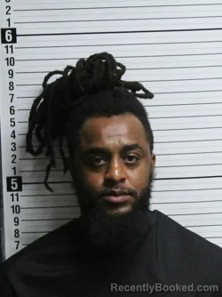 Mugshot of BRANDON DAVID BRESS