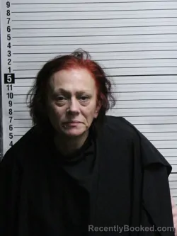 Mugshot of CARRIE LYNN BARNES