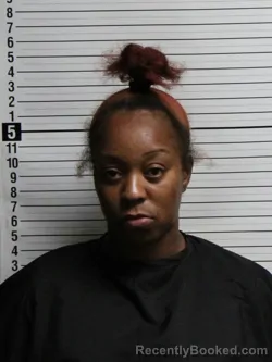 Mugshot of Da'rika Ameerah Bell booked in Brunswick County, North Carolina on July 13, 2026