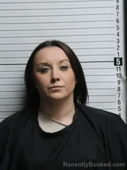 Mugshot of DANIELLE LEIGH BOWERSOX