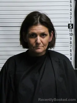 Mugshot of DAWN LEIGH BRASWELL booked in Brunswick County, North Carolina on June 4, 2026