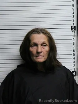 Mugshot of Darla Michelle Burleson booked in Brunswick County, North Carolina on July 14, 2026