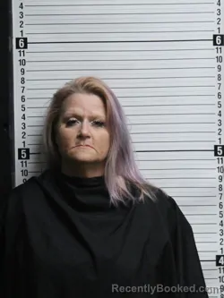 Mugshot of KATRINA MICHALOWSKI BRIDGES