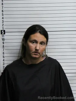 Mugshot of NATASHA LEE BEERS booked in Brunswick County, North Carolina on June 12, 2026