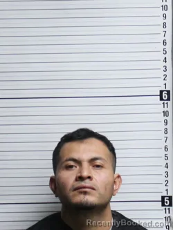 Mugshot of EMILIANO ALFONSO CASTANEDA