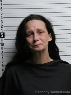 Mugshot of ELISABETH MARIE CRIBB booked in Brunswick County, North Carolina on June 21, 2026