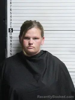 Mugshot of HEATHER NASHEA CREECH booked in Brunswick County, North Carolina on April 12, 2026