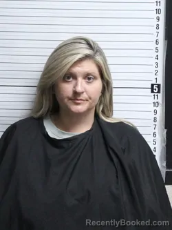 Mugshot of HANNAH VICTORIA DAVISSON booked in Brunswick County, North Carolina on April 25, 2026