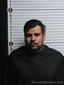 Mugshot of LUIS ENRIQUE DOMINGUEZ-ARRIAGA