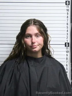 Mugshot of ADRIENNE ALEXA FRITSCH booked in Brunswick County, North Carolina on May 1, 2026