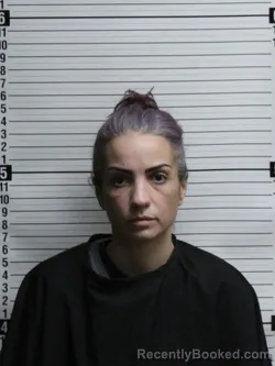 Mugshot of ASHLEY MARIE FULLER