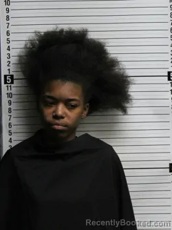 Mugshot of Ayonna Taleiah Ford booked in Brunswick County, North Carolina on August 27, 2026