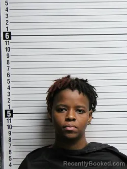 Mugshot of DASHIANA AISHANAY FRANKLIN booked in Brunswick County, North Carolina on June 12, 2026