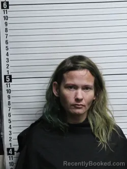 Booking photo from Brunswick County, North Carolina