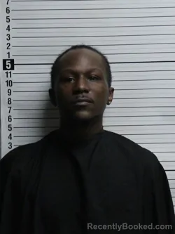 Mugshot of THOMAS LAMAR FERRELL