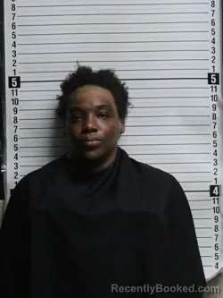 Mugshot of LATEICE LANEICE GRIFFIN
