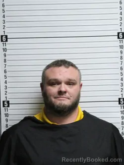 Mugshot of BRANDON RAY HAMILTON