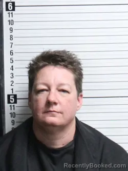 Mugshot of CHRISTINA DANYLE HICKS