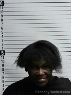 Mugshot of CHERYL DENISE HEWITT booked in Brunswick County, North Carolina on June 22, 2026