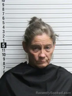 Mugshot of DEBRA MORGAN HANCOCK booked in Brunswick County, North Carolina on May 20, 2026