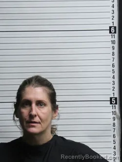 Mugshot of HEATHER MARIE HARRELSON