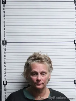 Mugshot of LISA EISENHOUR HOUSTON