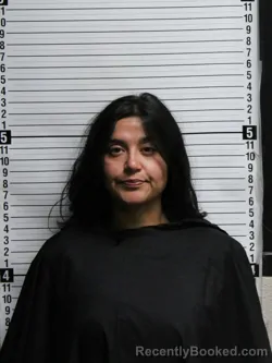 Mugshot of Lizbeth Karina Salgado Harding booked in Brunswick County, North Carolina on September 7, 2026