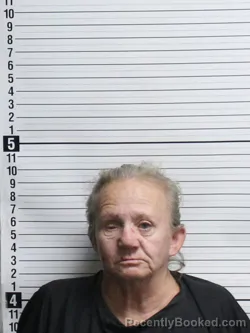 Mugshot of SHONDA DENEAL HENSLEY