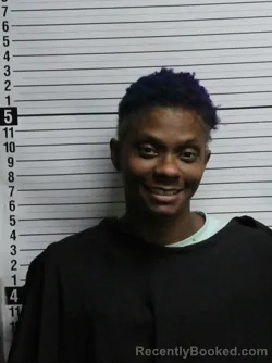 Mugshot of SHAMEKA NICOLE HICKS