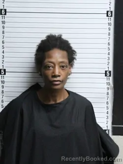 Mugshot of TEMBA BALLARD HANKINS booked in Brunswick County, North Carolina on April 7, 2026