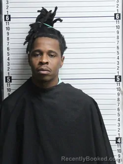 Mugshot of JAMIE ROSHAWN JENKINS