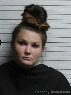 Mugshot of SHELBY LEIGH JAMES