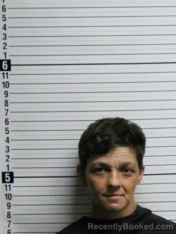 Mugshot of BRITTANY MARIE ANN KEELER booked in Brunswick County, North Carolina on June 19, 2026