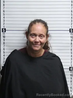 Mugshot of ERICA DAWN KING booked in Brunswick County, North Carolina on April 14, 2026