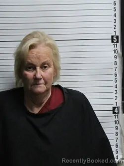 Mugshot of LYNN MARIE KLEMME